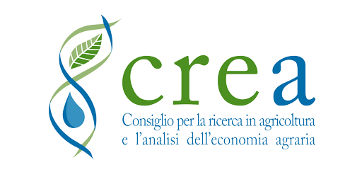 Partner Logo White